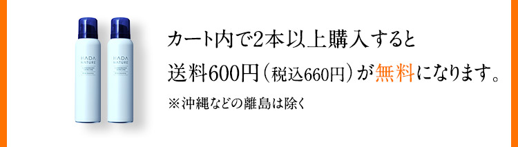 カート内で2本以上購入すると送料無料